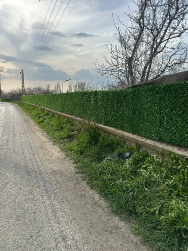 Çim çit