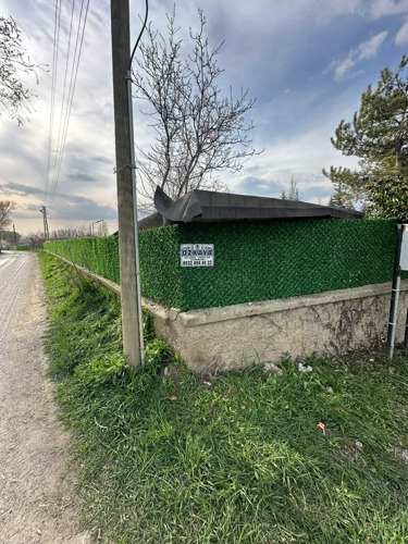 Çim çit